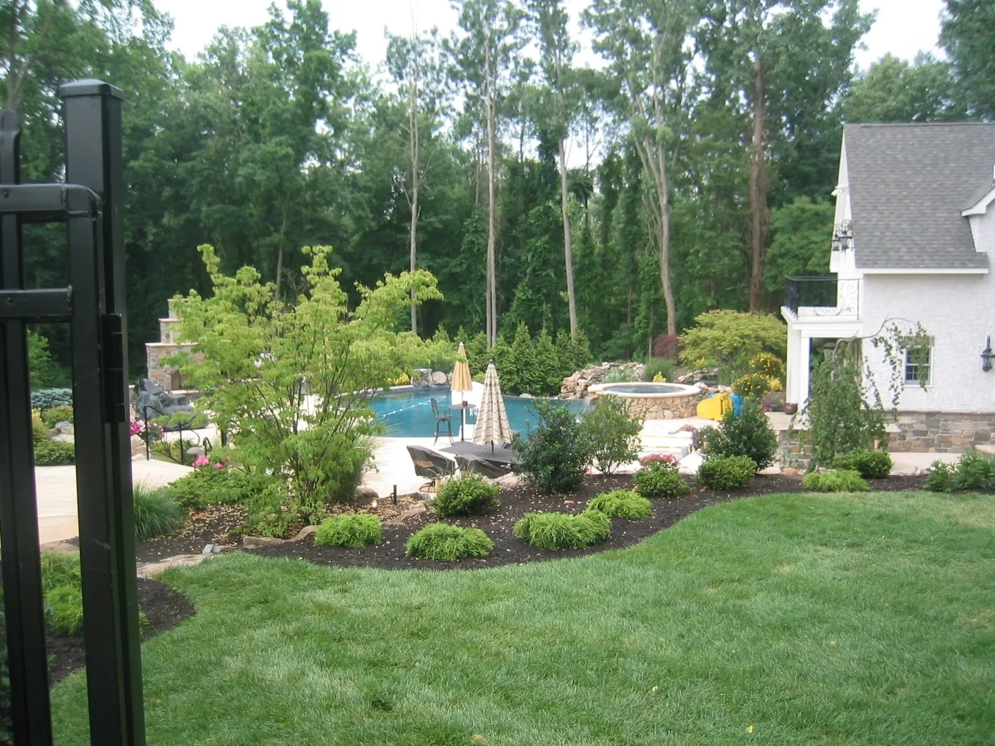 view of the pool from behind some plants